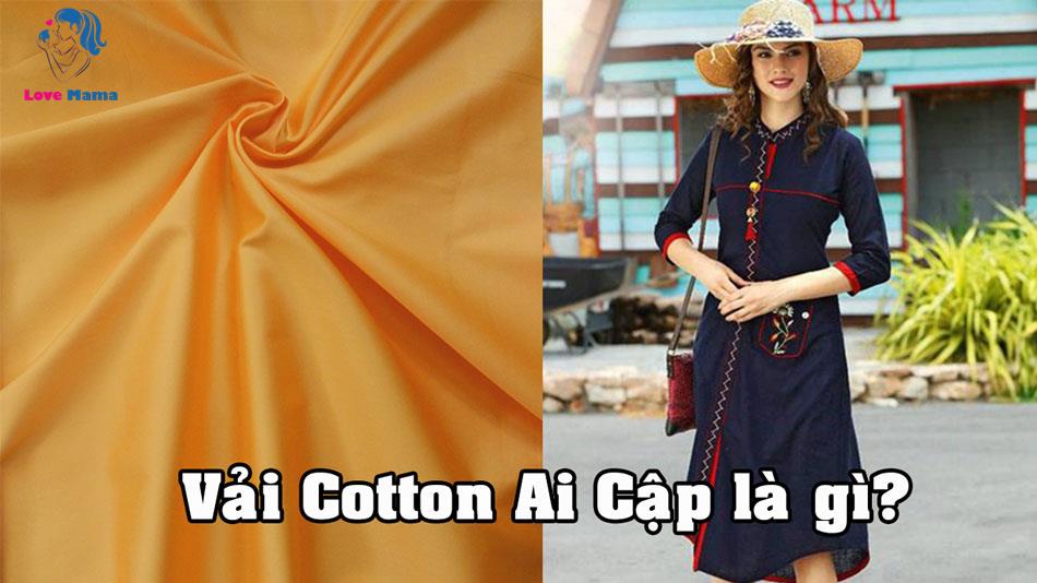 Vải Cotton Ai Cập là gì?