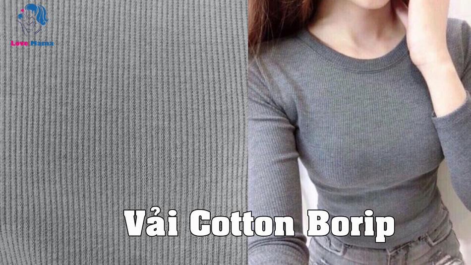 Vải Cotton Borip là gì