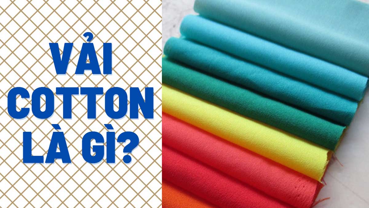 Vải cotton là gì? có mấy loại vải cotton? cách phân biệt sợi vải cotton?
