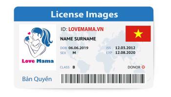 Quy định về hình ảnh (license images) tại LoveMama