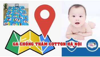 Mua ga chống thấm Cotton ở Hà Nội khu vực Miền Bắc tốt nhất ở đâu?