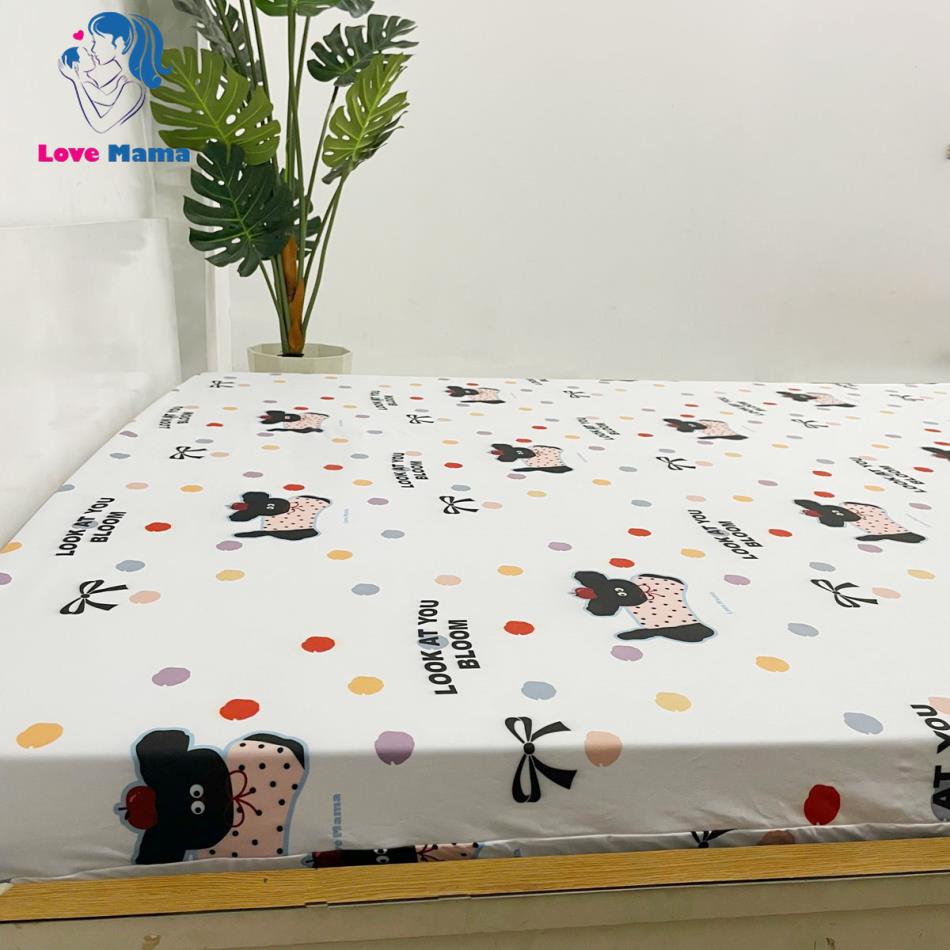Ga giường chống thấm thun Cotton bảo vệ nệm Ga giường chống thấm thun Cotton bảo vệ nệm